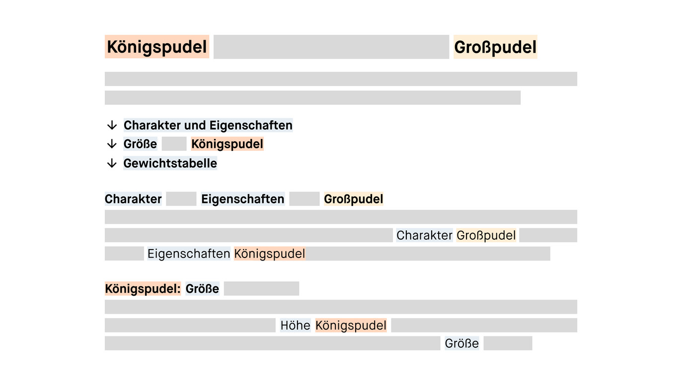 Beispiel für die Grundstruktur eines SEO Briefings